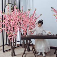 uploads/erp/collection/images/Home Garden/CongDing/XU0610955/img_b/XU0610955_img_b_1